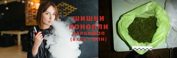 гидра Арсеньев