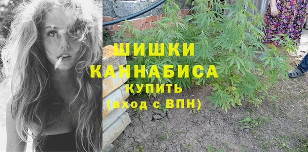 крисы Армянск