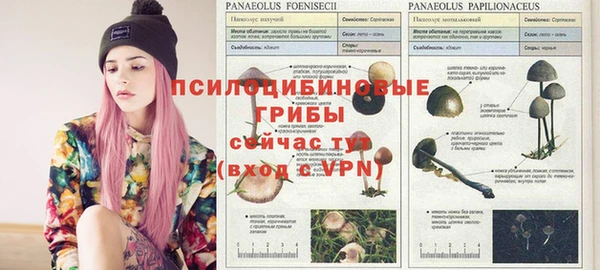 прущая мука Балабаново