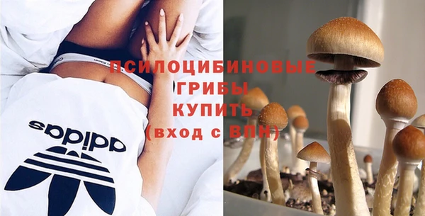 мдпв Баксан