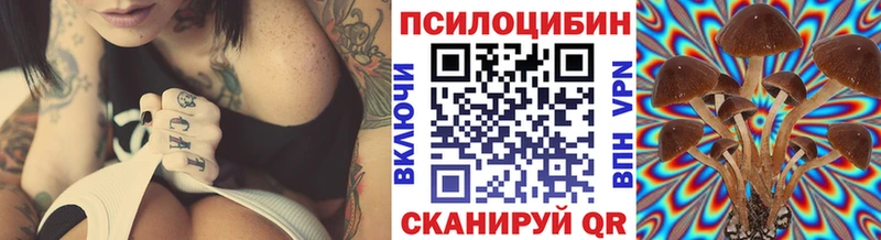 Галлюциногенные грибы GOLDEN TEACHER  Гремячинск 